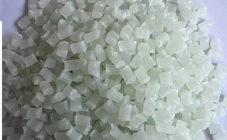 31102025010 31102025010